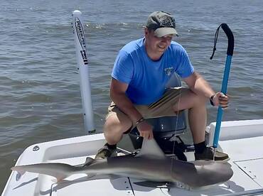 Get Ready for Sharks!