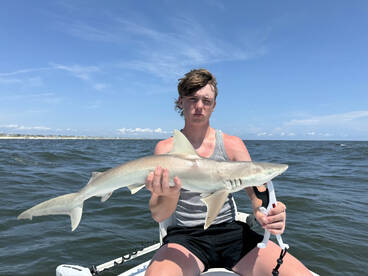 Ocean Isle Beach Report Photo 2