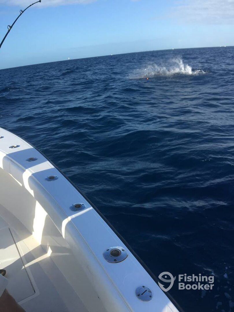 Pompano Beach Report Photo 0