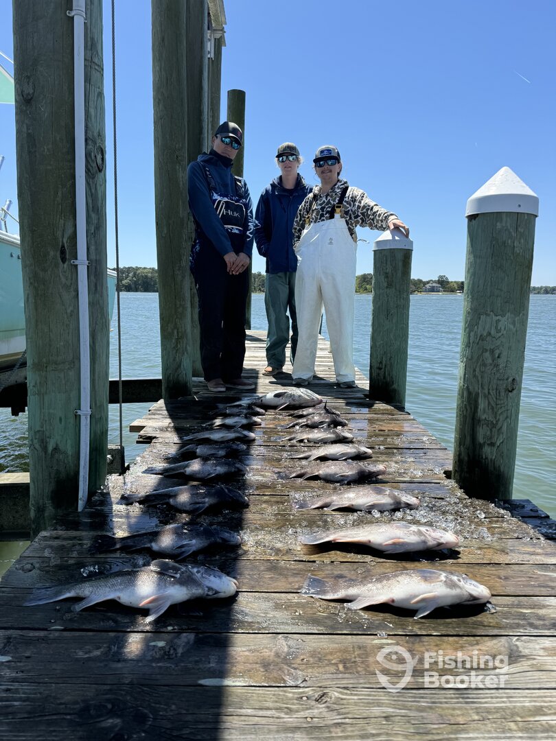 Yorktown Report Photo 0