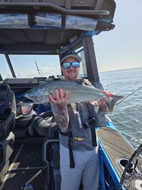 Chinook Salmon