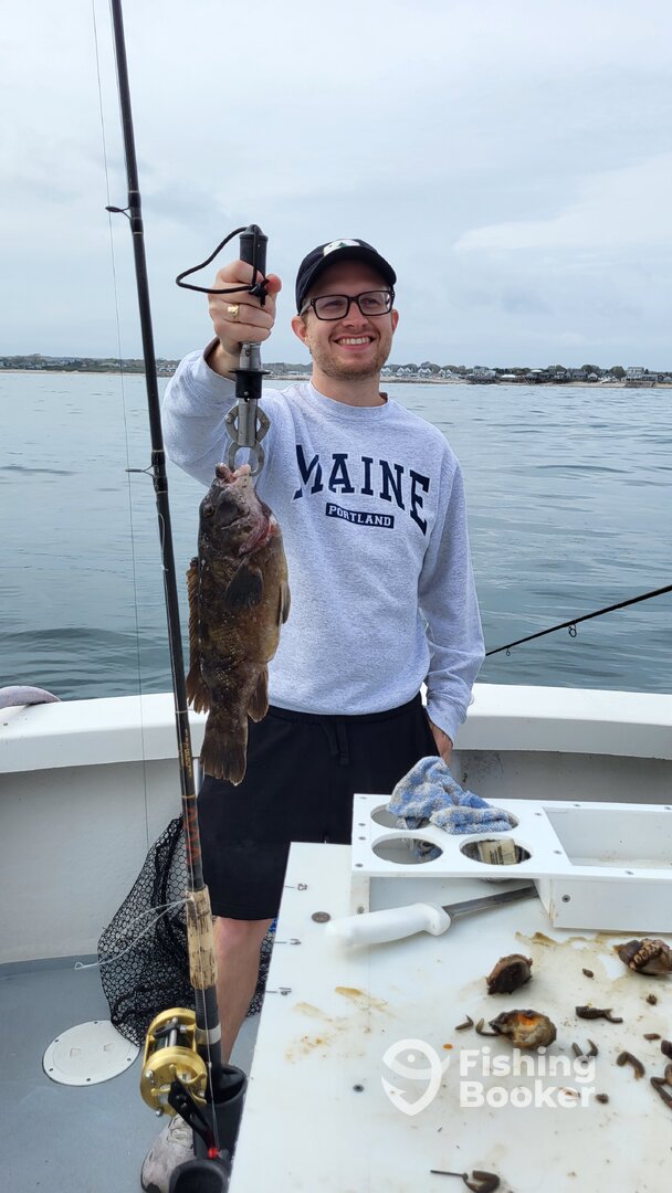Narragansett Report Photo 0
