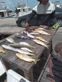 Oranjestad Report Photo 2