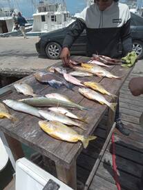 Oranjestad Report Photo 1