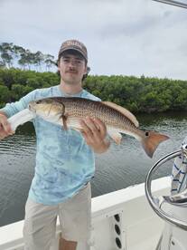 Sarasota Report Photo 2