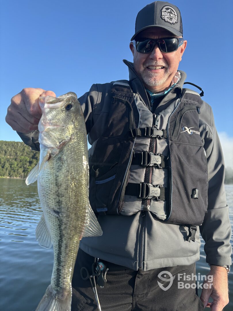 Branson Report Photo 0