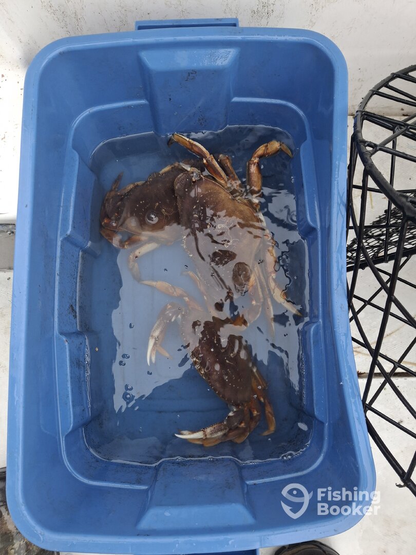 Parksville Report Photo 0