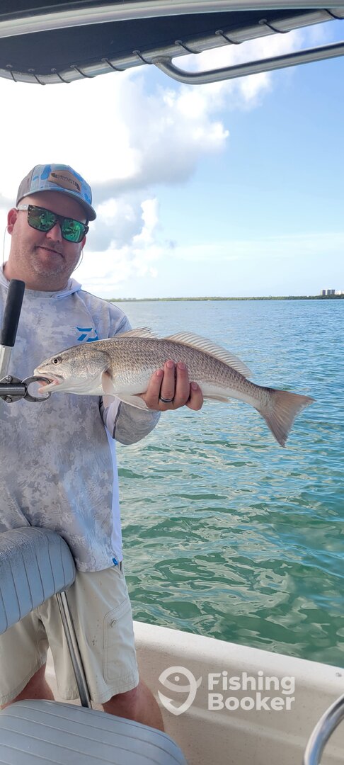 Bonita Springs Report Photo 0
