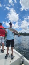 Bonita Springs Report Photo 1