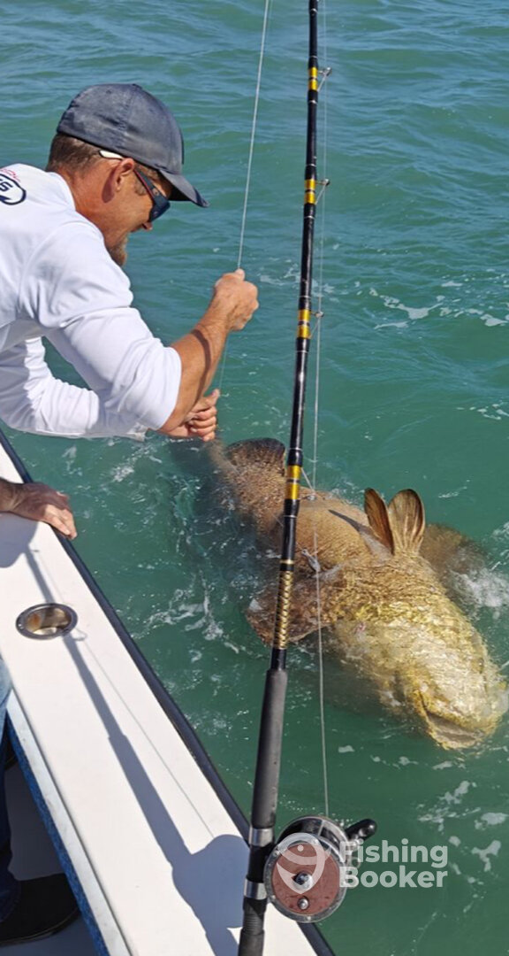 Port Canaveral Report Photo 0