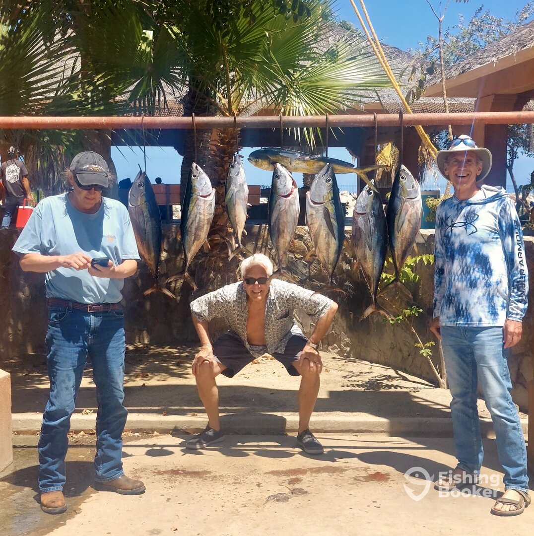 San Jose del Cabo Report Photo 0