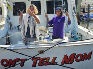 Giant Hammerhead and good trolling actio