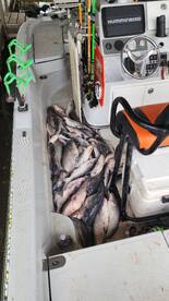 Eufaula Lake Report Photo 1