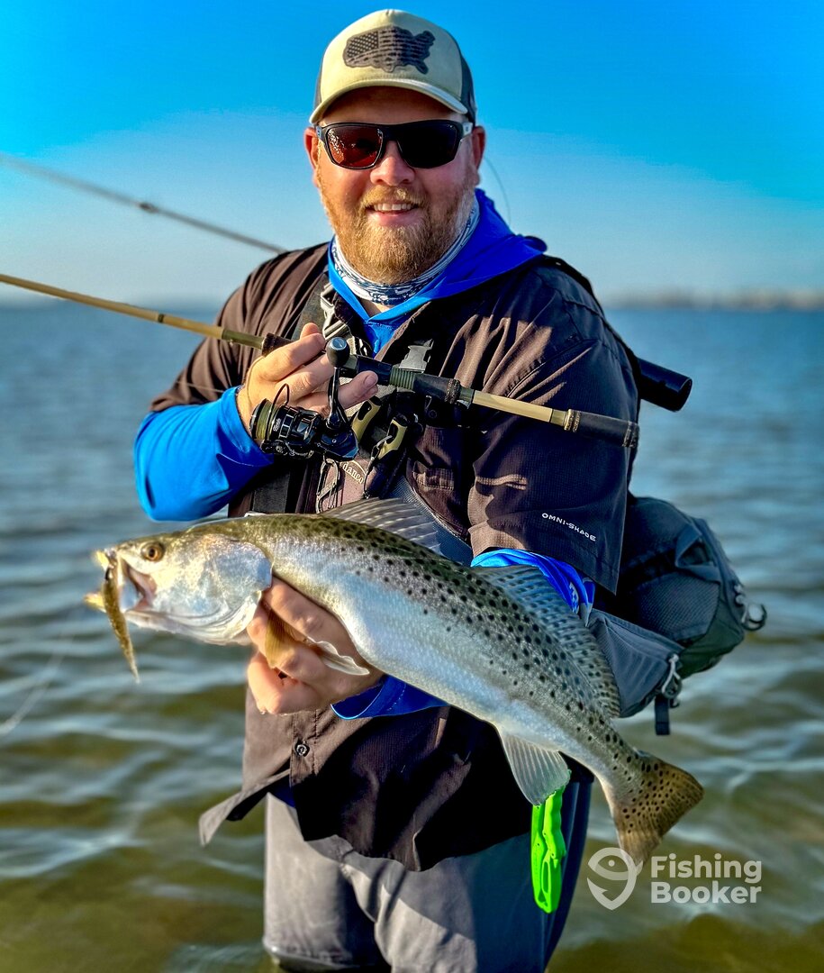 Palmetto Report Photo 0