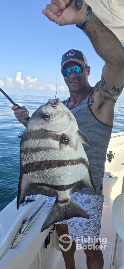 St. Simons Island Report Photo 0