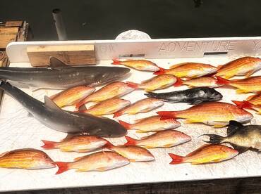 Cooler full for dinner! 