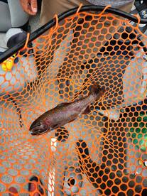 Wallsburg Report Photo 3