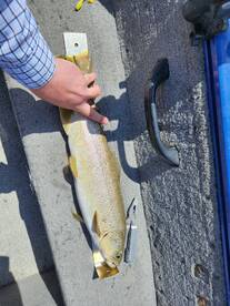 Wallsburg Report Photo 4