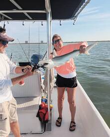 Shark fishing, fort myers beach fishing charters