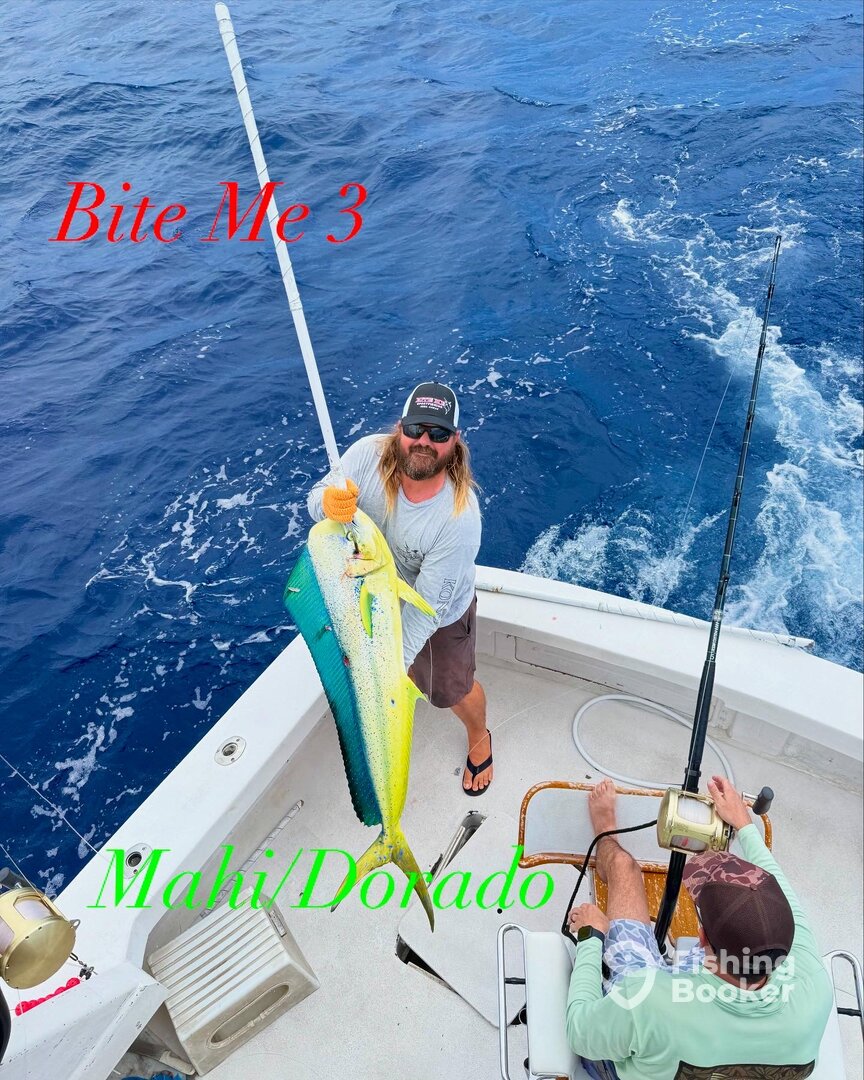 Mahi