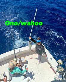 Ono