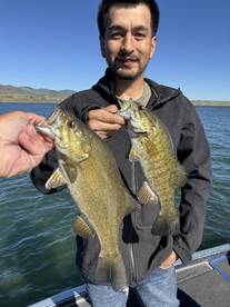 Denver Report Photo 4