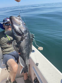 Nags Head Report Photo 2