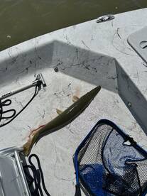 Rockport Report Photo 2