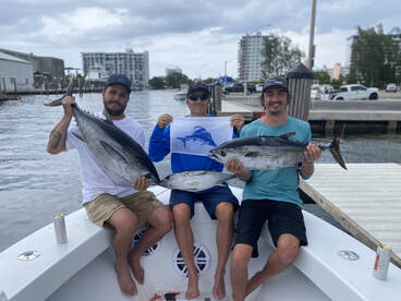 Tunas and sailfish