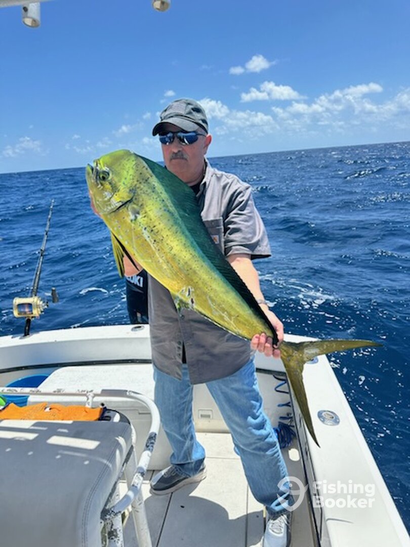 Pompano Beach Report Photo 0