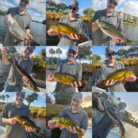 Nonstop action today!