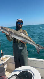 Holmes Beach Report Photo 1