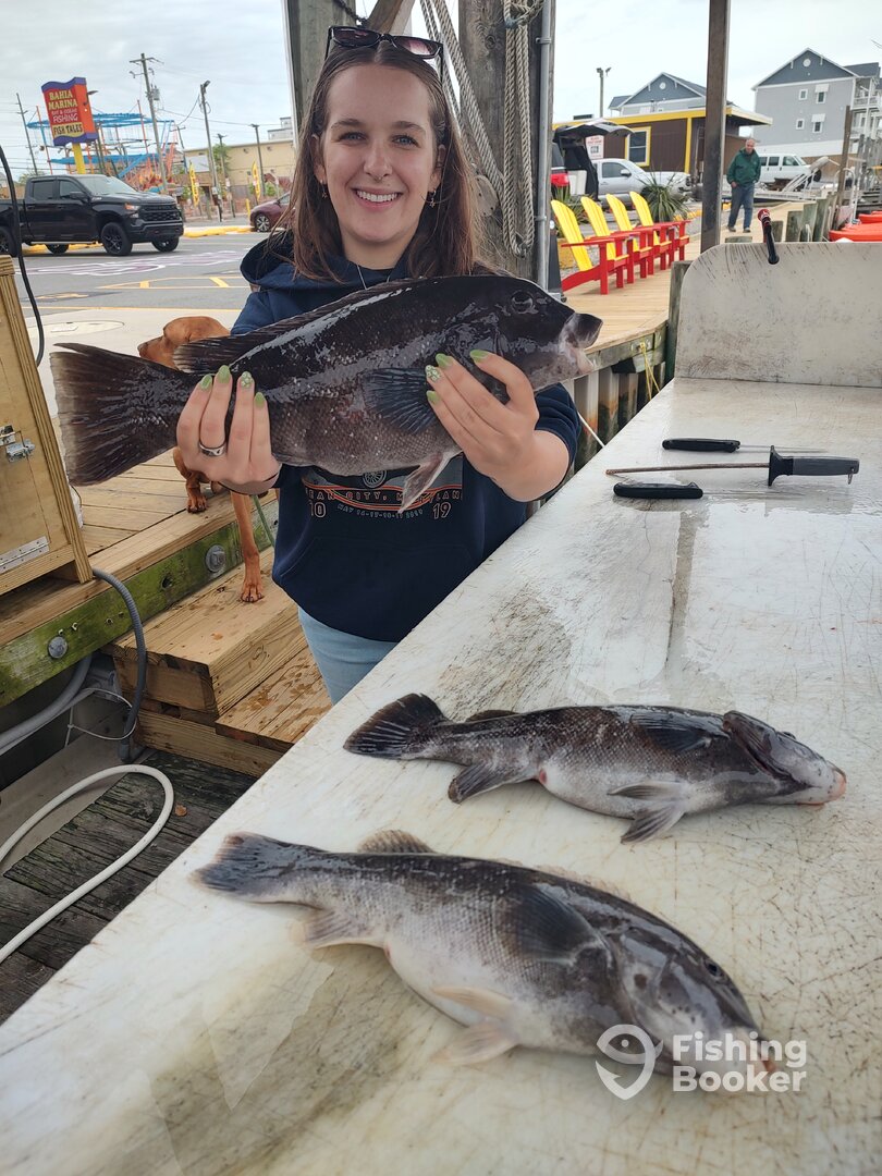 Ocean City Report Photo 0