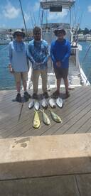 Key West Report Photo 2