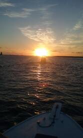 a beautiful morning with the fleet heading out