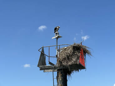 Stone Harbor Report Photo 1
