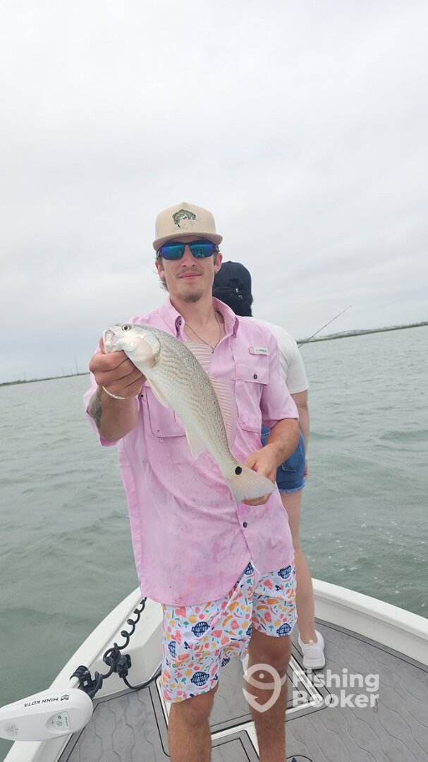 Port Aransas Report Photo 0