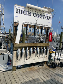 Great trolling nearshore trip!