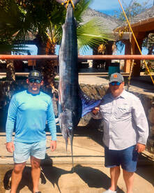 San Jose del Cabo Report Photo 2