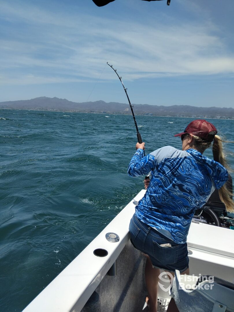 Puerto Vallarta Report Photo 0