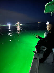 Squid, squid, and more squid!