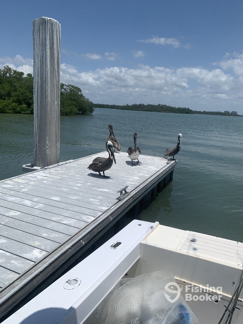 Bonita Springs Report Photo 0