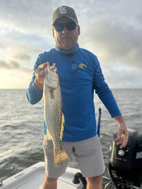 The big trout are back on the flats!