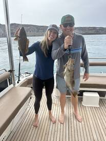 Grouper
