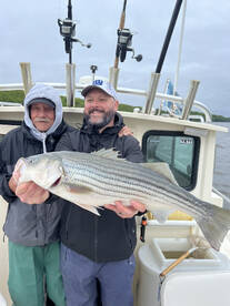 Saugerties Report Photo 1