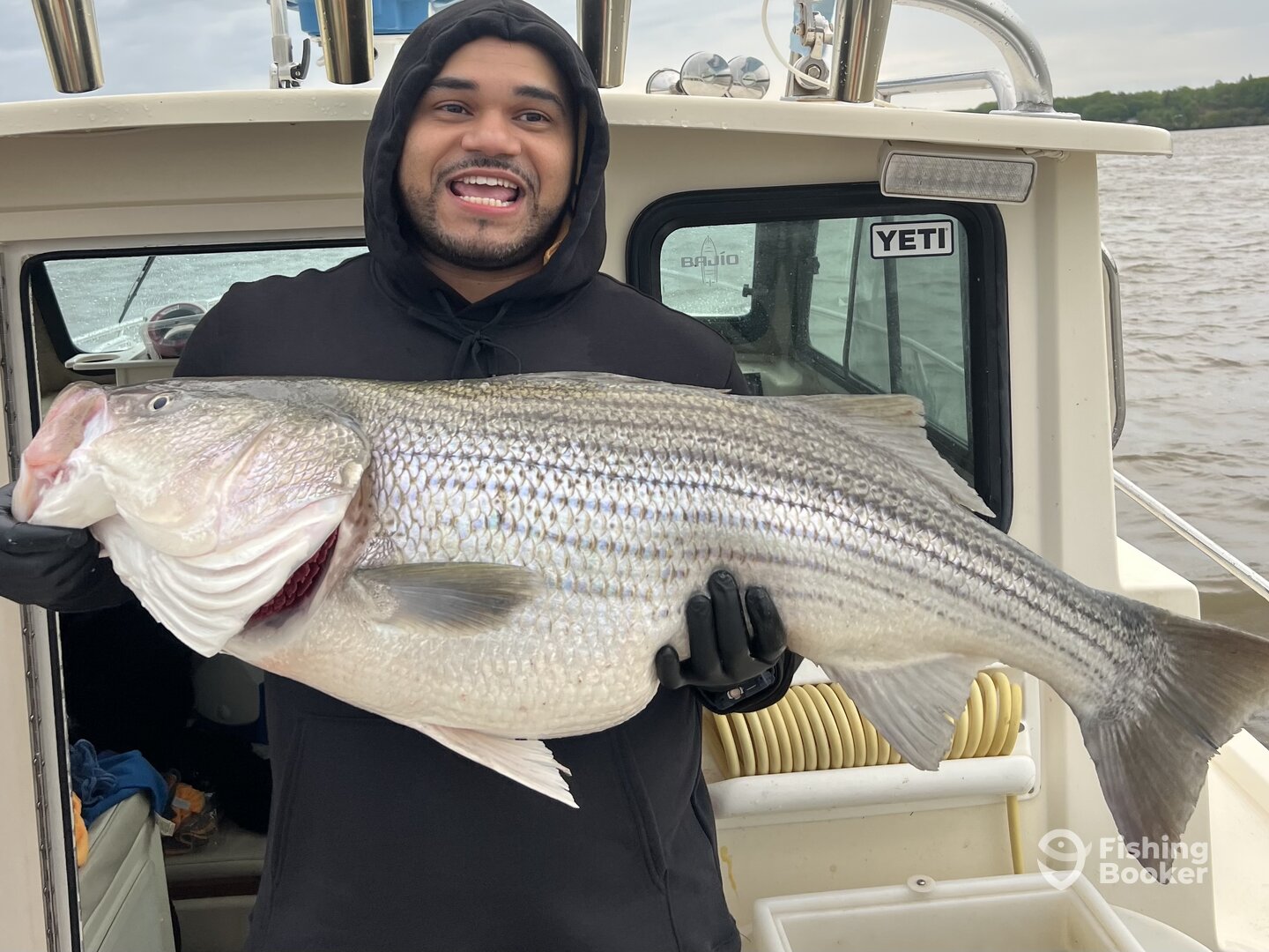 Saugerties Report Photo 0