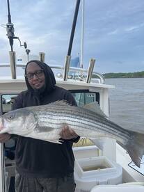 Saugerties Report Photo 2