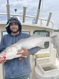 Saugerties Report Photo 1