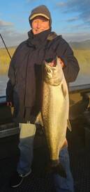 Spring Chinook 