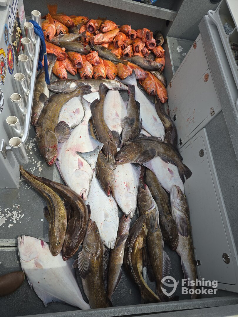 Washington Coast Report Photo 0